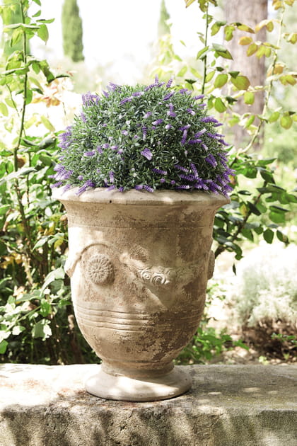 Pot Félicie par Maisons Du Monde