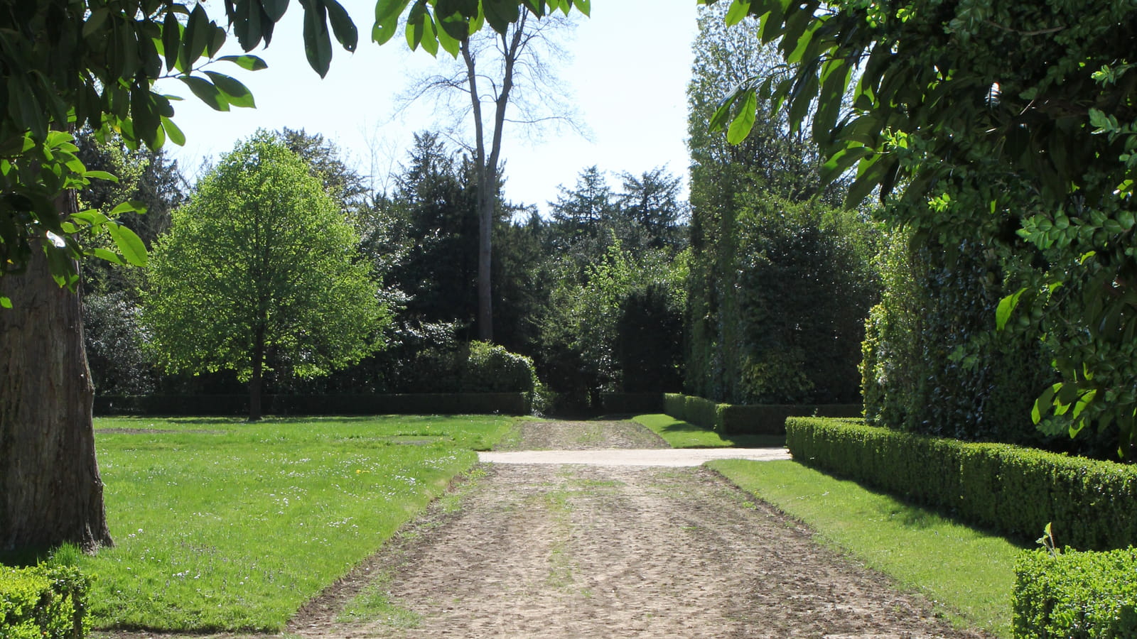 Le bosquet de la Reine