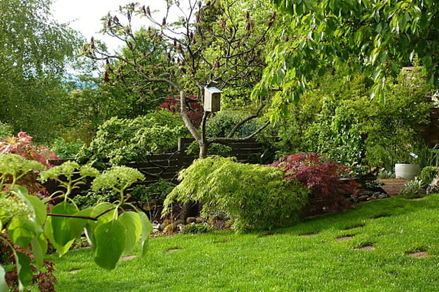 De petits mais impressionnants &eacute;rables