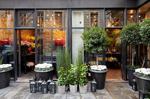 boutique stephane chapelle