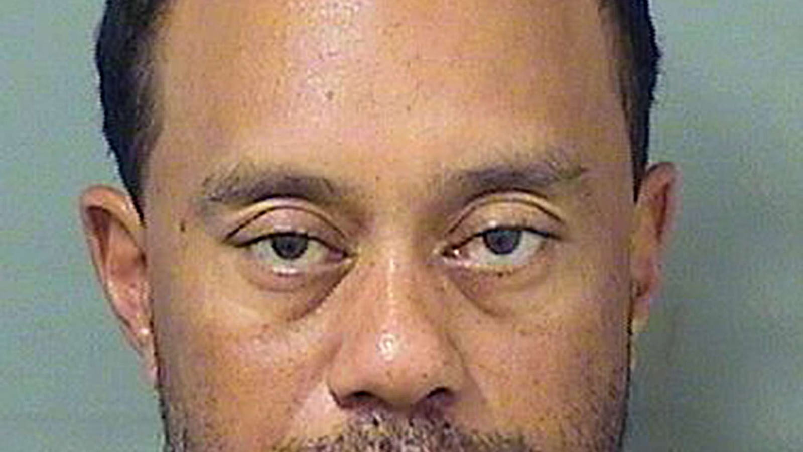 Tiger Woods