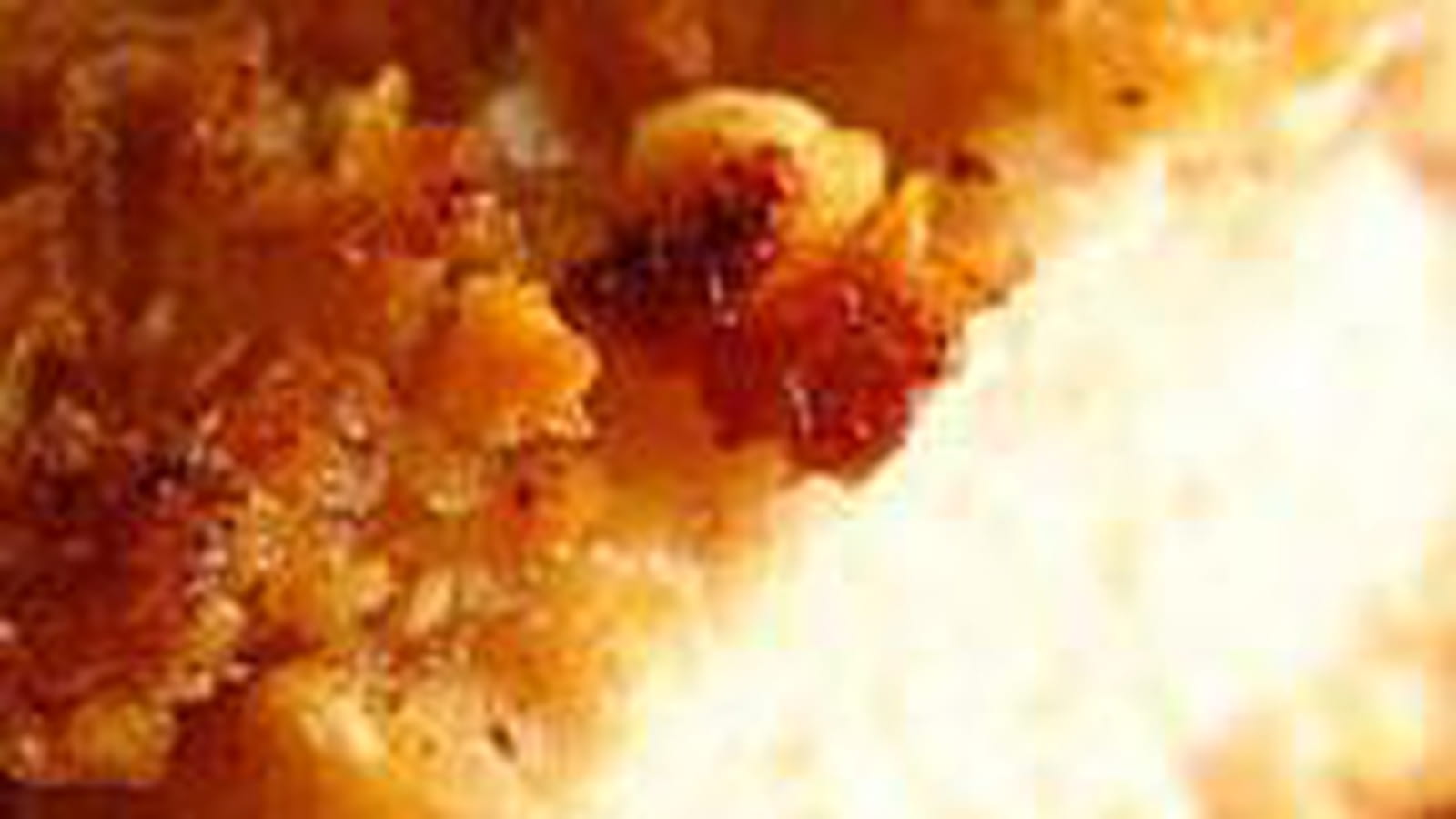 Escalopes panées corn-flakes