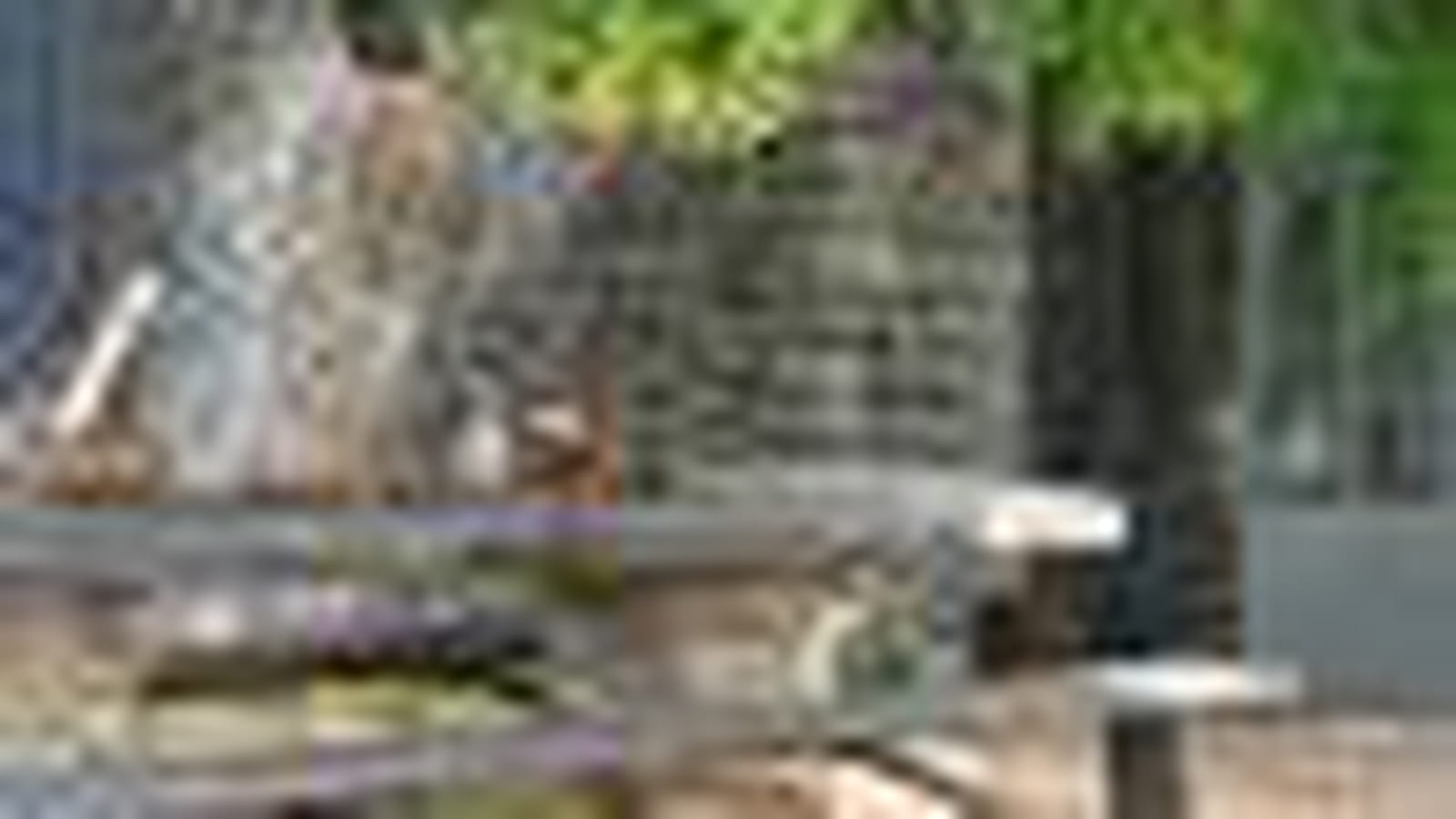 Jardin