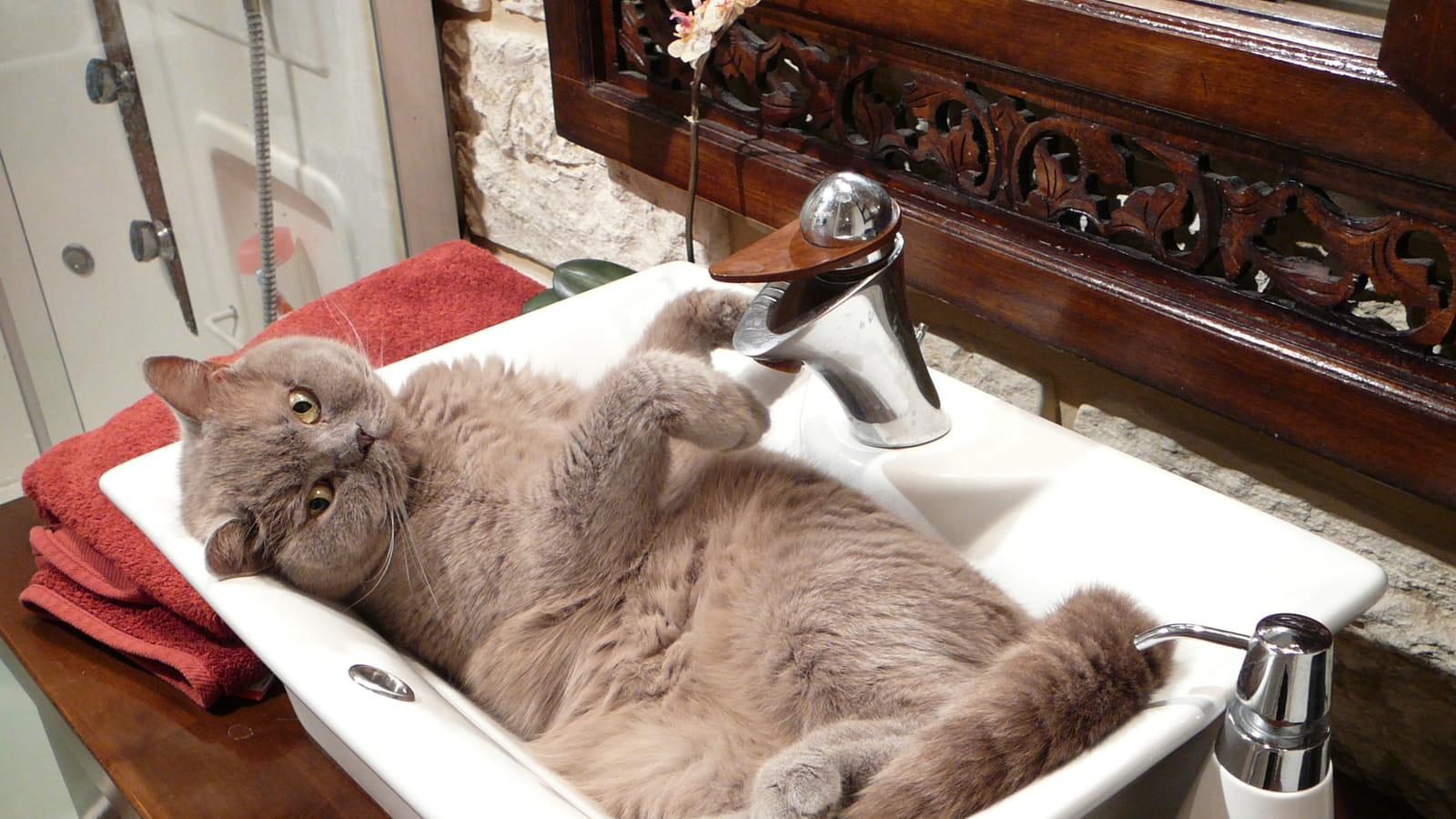 Dans un lavabo