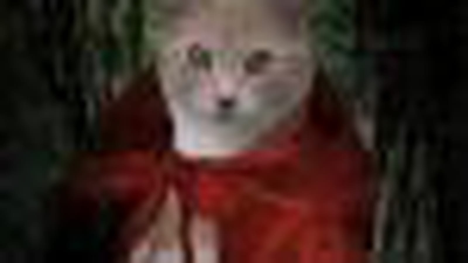 Chat-peron rouge