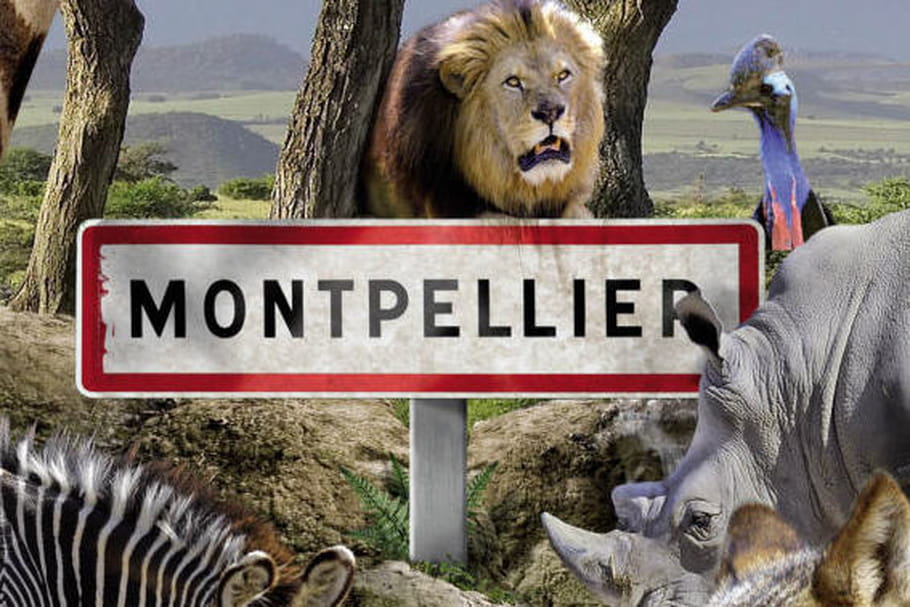 Parc zoologique de Montpellier : en plein cœur de la nature