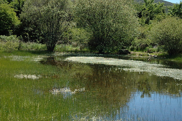 Un univers plein de secrets