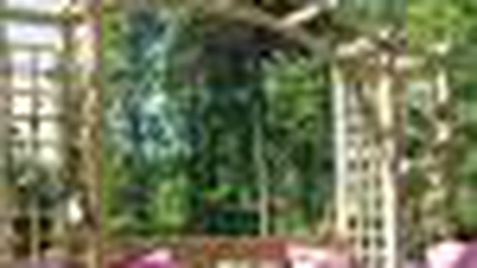 Pergola