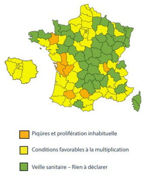 carte moustique france