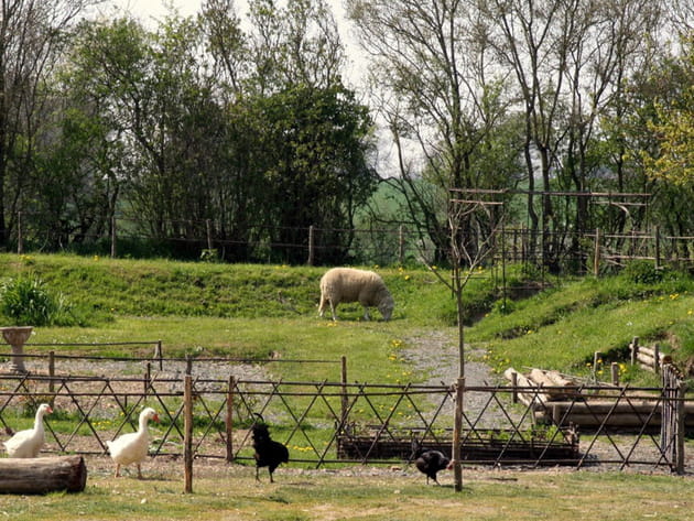 Cr&eacute;ation de barri&egrave;res