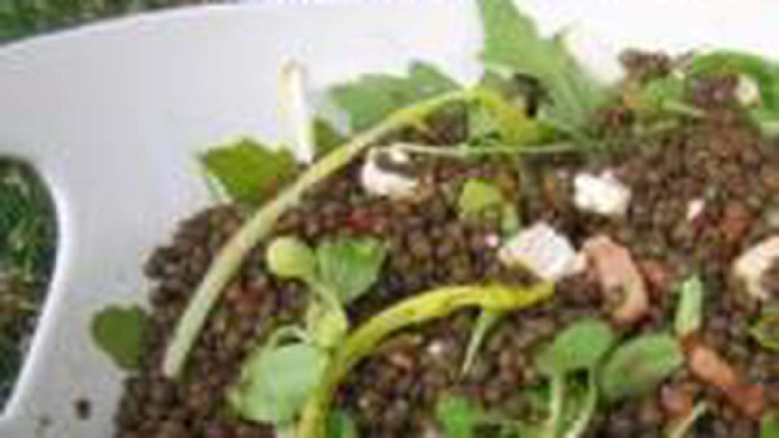 Salade de lentilles, roquette et chèvre