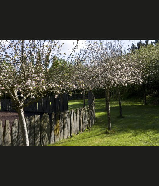 Place &agrave; la biodivesit&eacute;