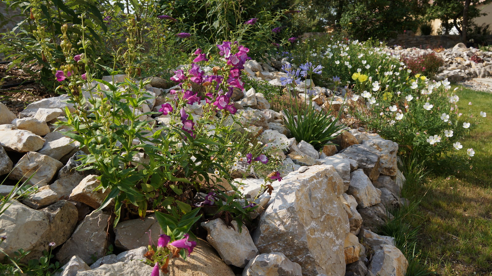 Jardin sec