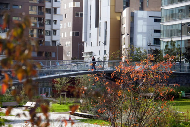 Des milieux diversifiés