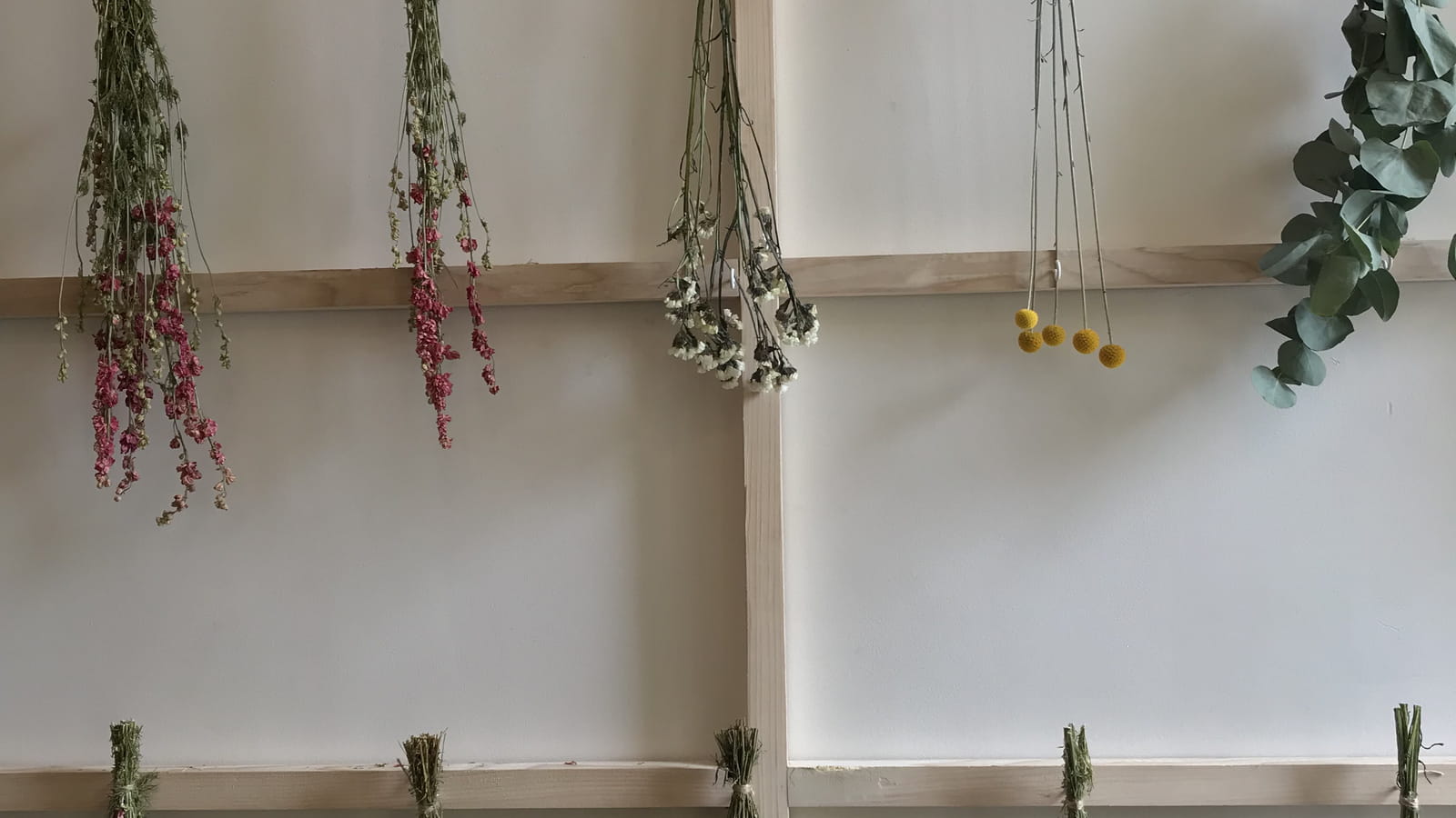 Fleurs séchées 