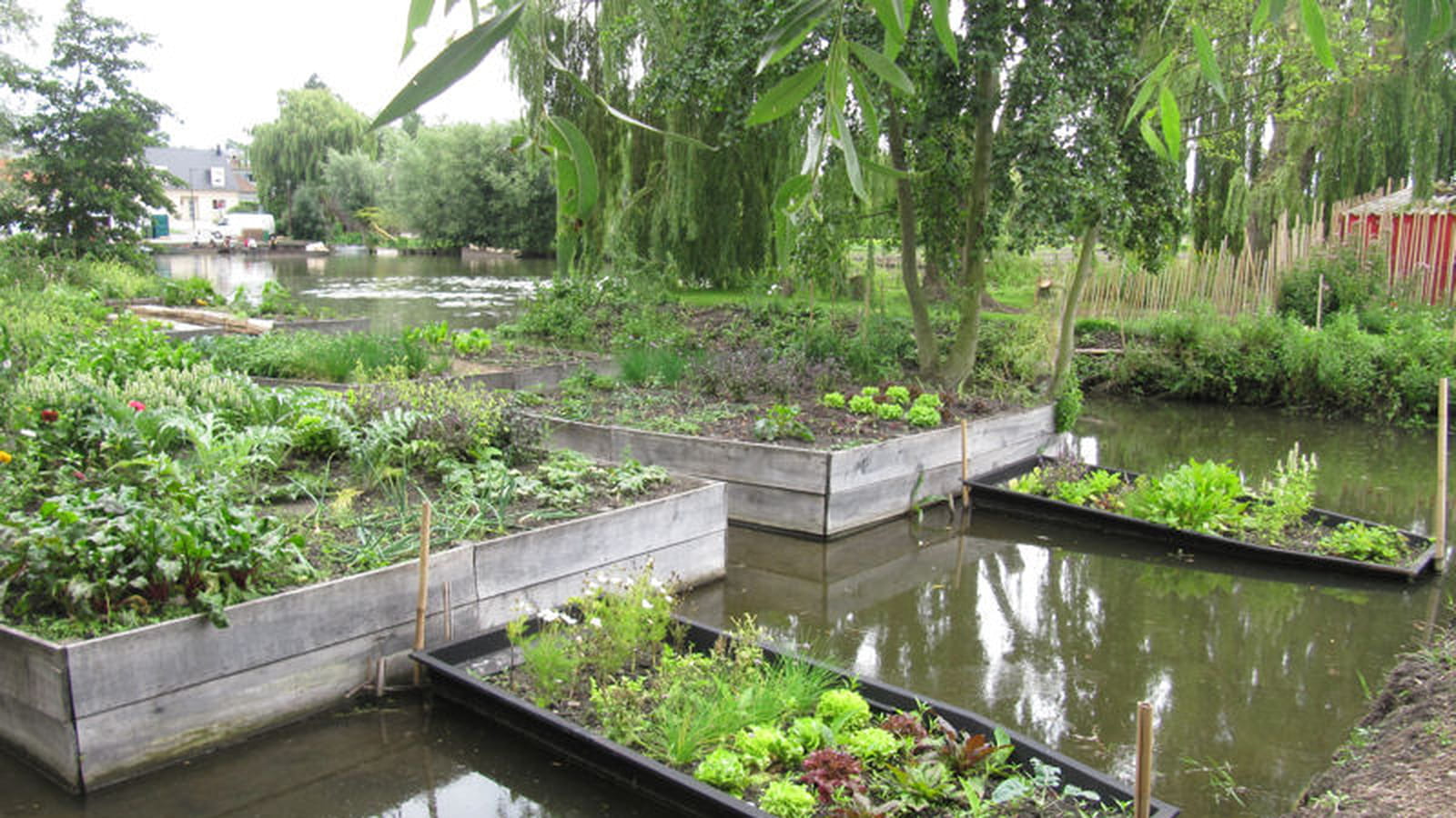 Potager de Florent Morisseau