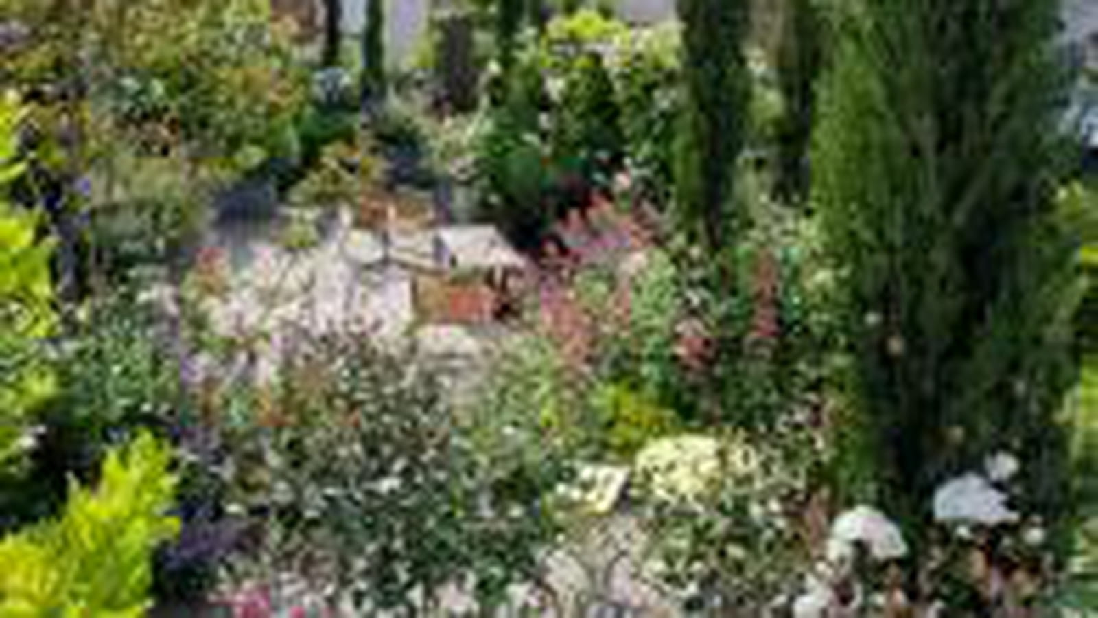 Nid de verdure