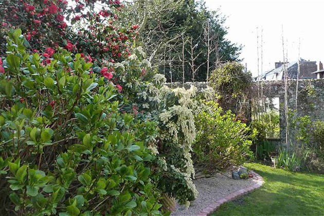 Mise en valeur des massifs d'hortensias et cam&eacute;lias
