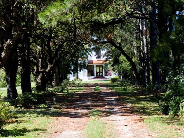 Une all&eacute;e de jardin qui c&ocirc;toie des arbres centenaires
