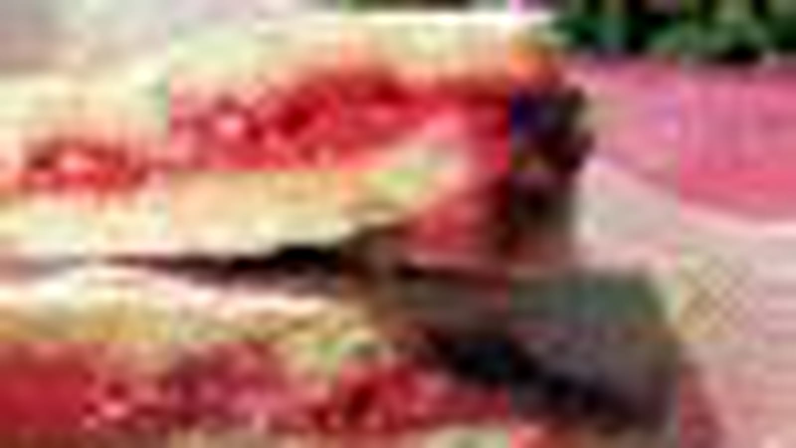 Framboises