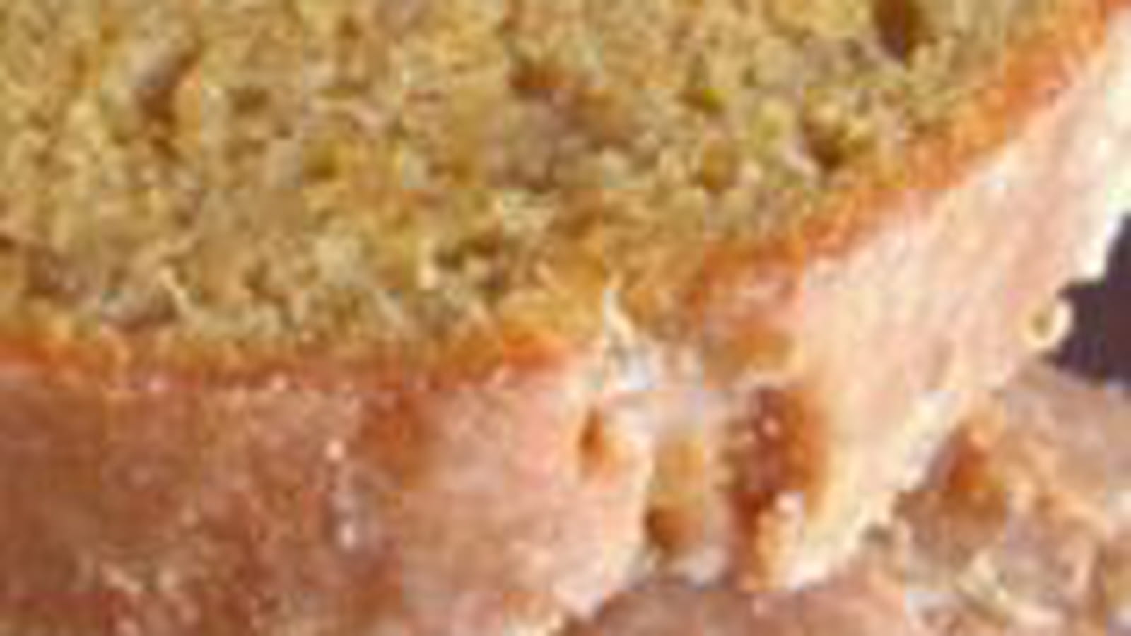 Cake ultra fondant à la courge, au citron et aux épices douces, glaçage acidulé
