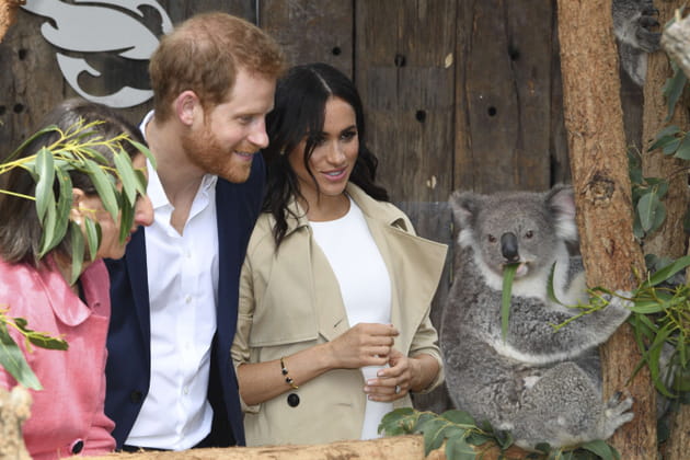 Prince Harry et Meghan Markle font ami-ami avec un koala