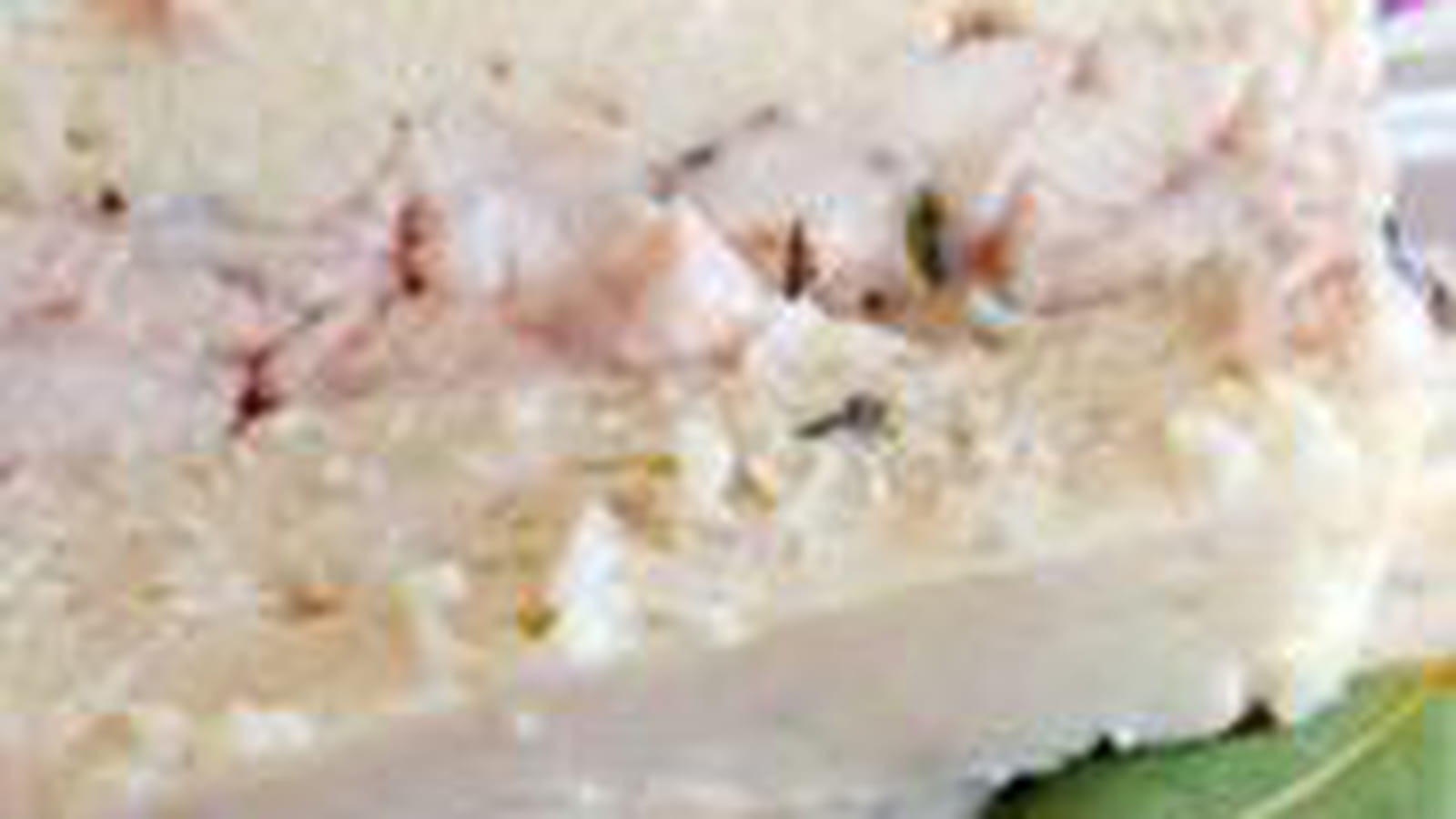 Terrine light au blanc de poulet