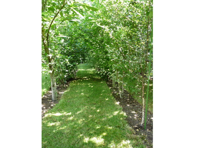 Promenons-nous dans les bois