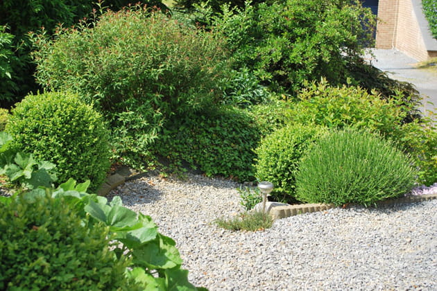 Verdure en abondance