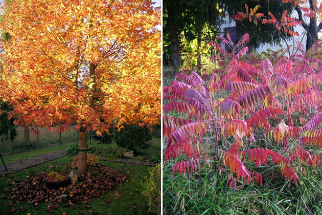 L'automne, peinture du jardin