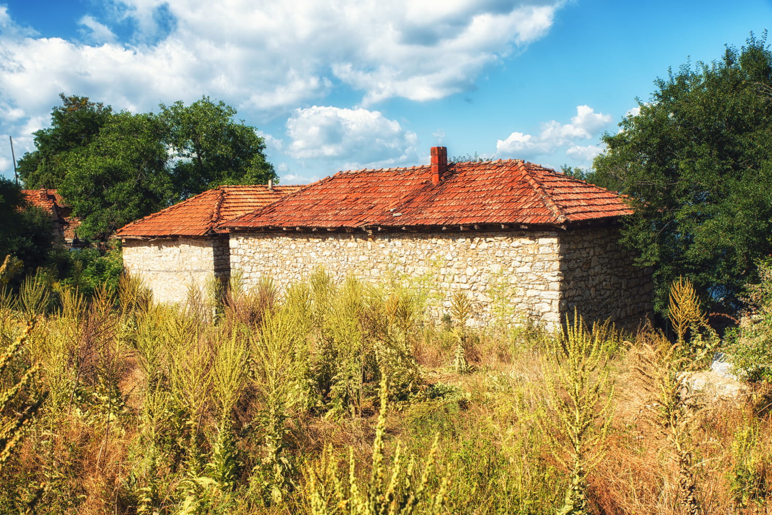 A couple decides to renovate an old farm from A to Z, but the project is not going to take place as planned …