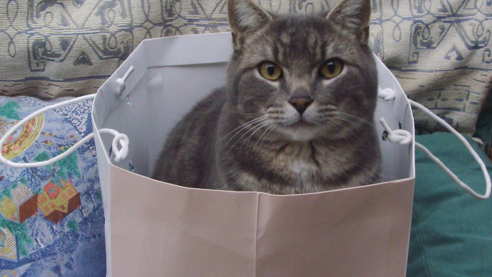 Dans le sac