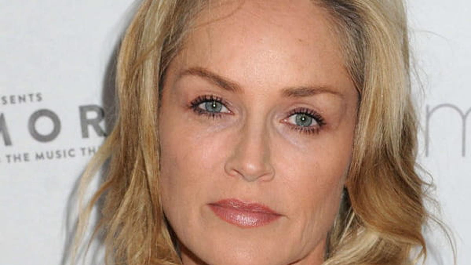 Sharon Stone, avant