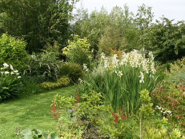 Caract&egrave;re sauvage