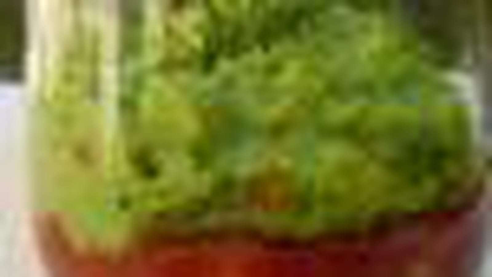 Tomate-brocoli