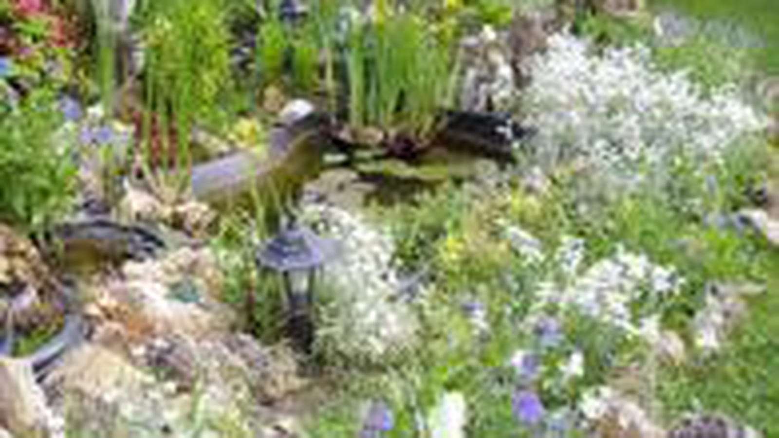 Paradis des fleurs