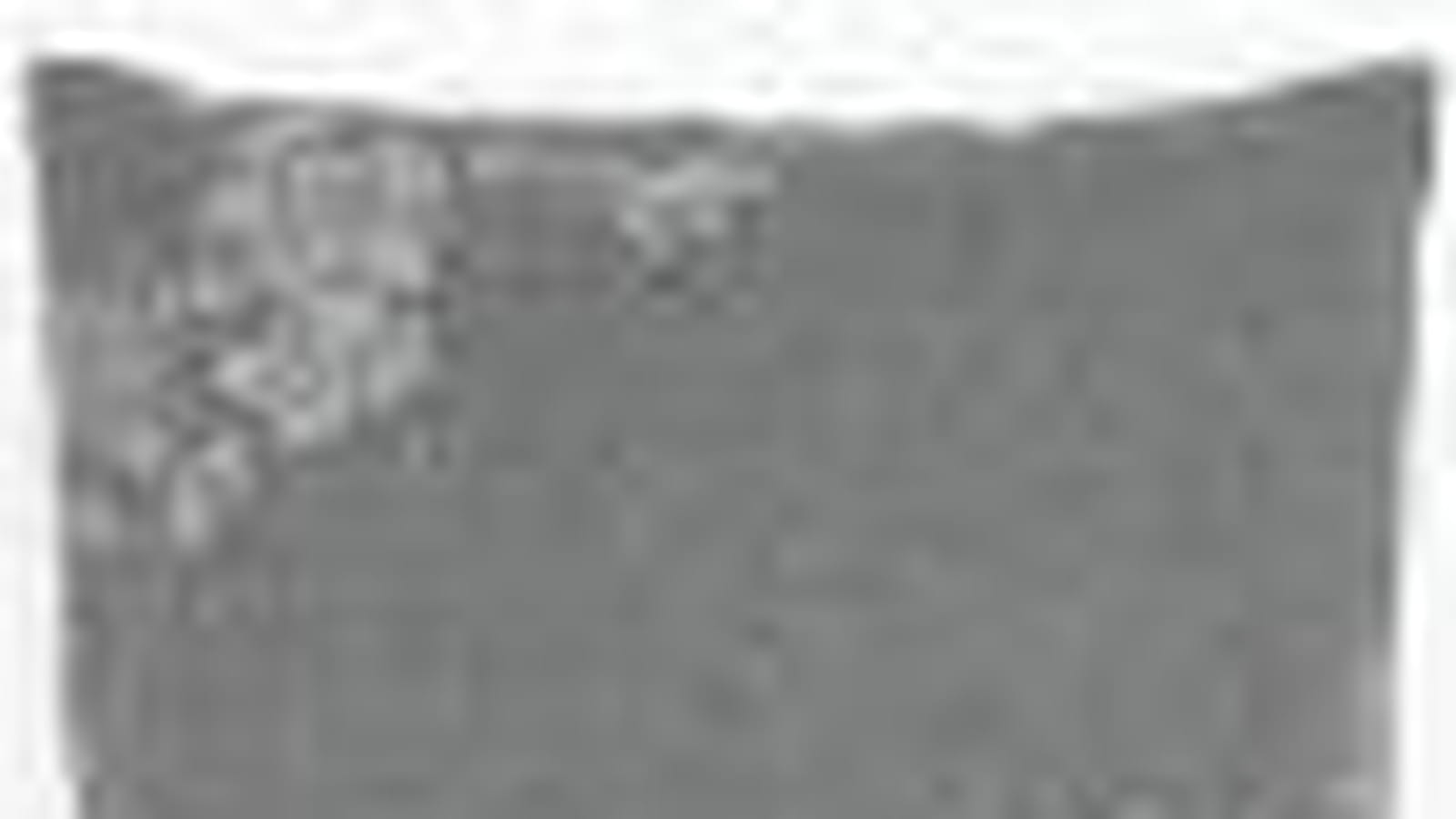 Le coussin "Florali"