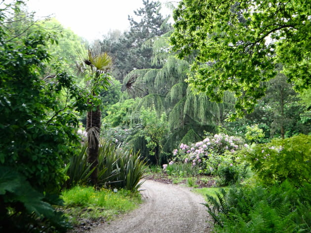 Un &eacute;tonnant voyage des sens
