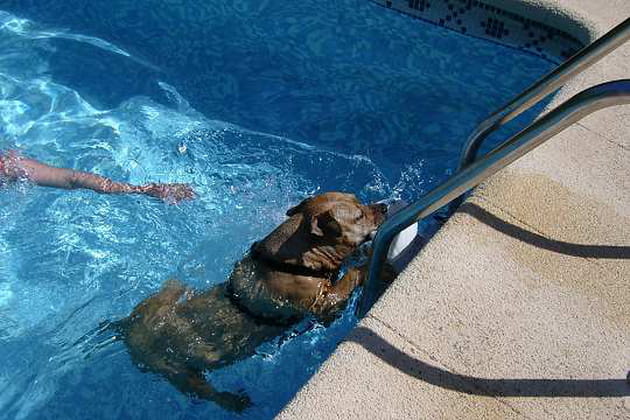 Vacances &agrave; Javea