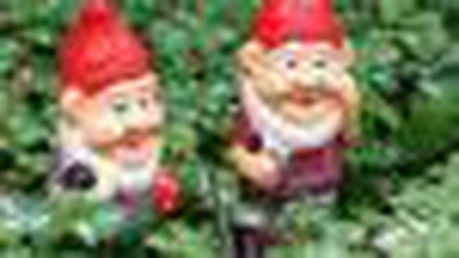 Nains de jardin