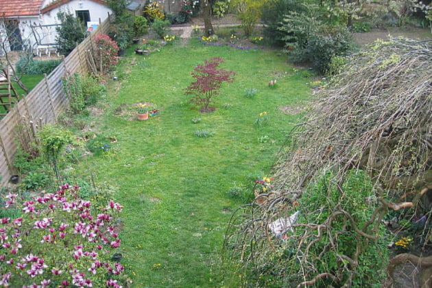 Un terrain presque vide