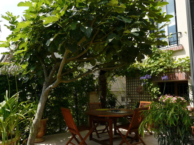 Une terrasse ombragée