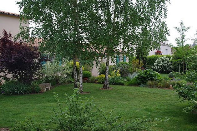 Les arbres et arbustes se partagent le terrain avec les fleurs