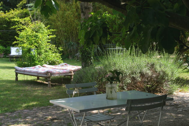 Sieste sous le figuier