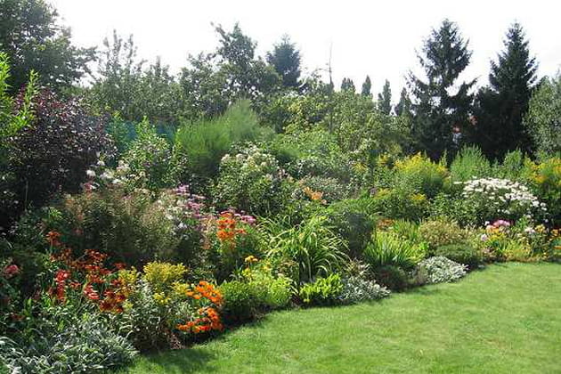 Les fleurs du Nord-Pas de Calais