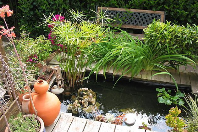 Bassin comme un coin fraîcheur