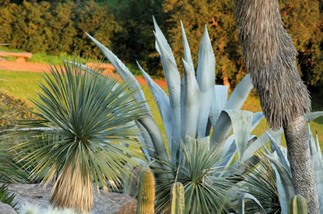 Les jardins de la Méditerrannée