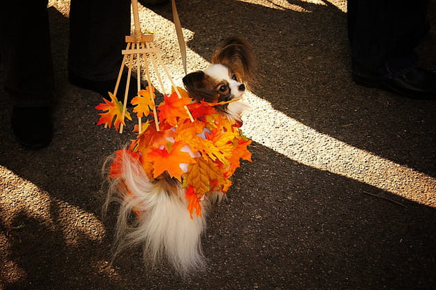 Un costume de saison