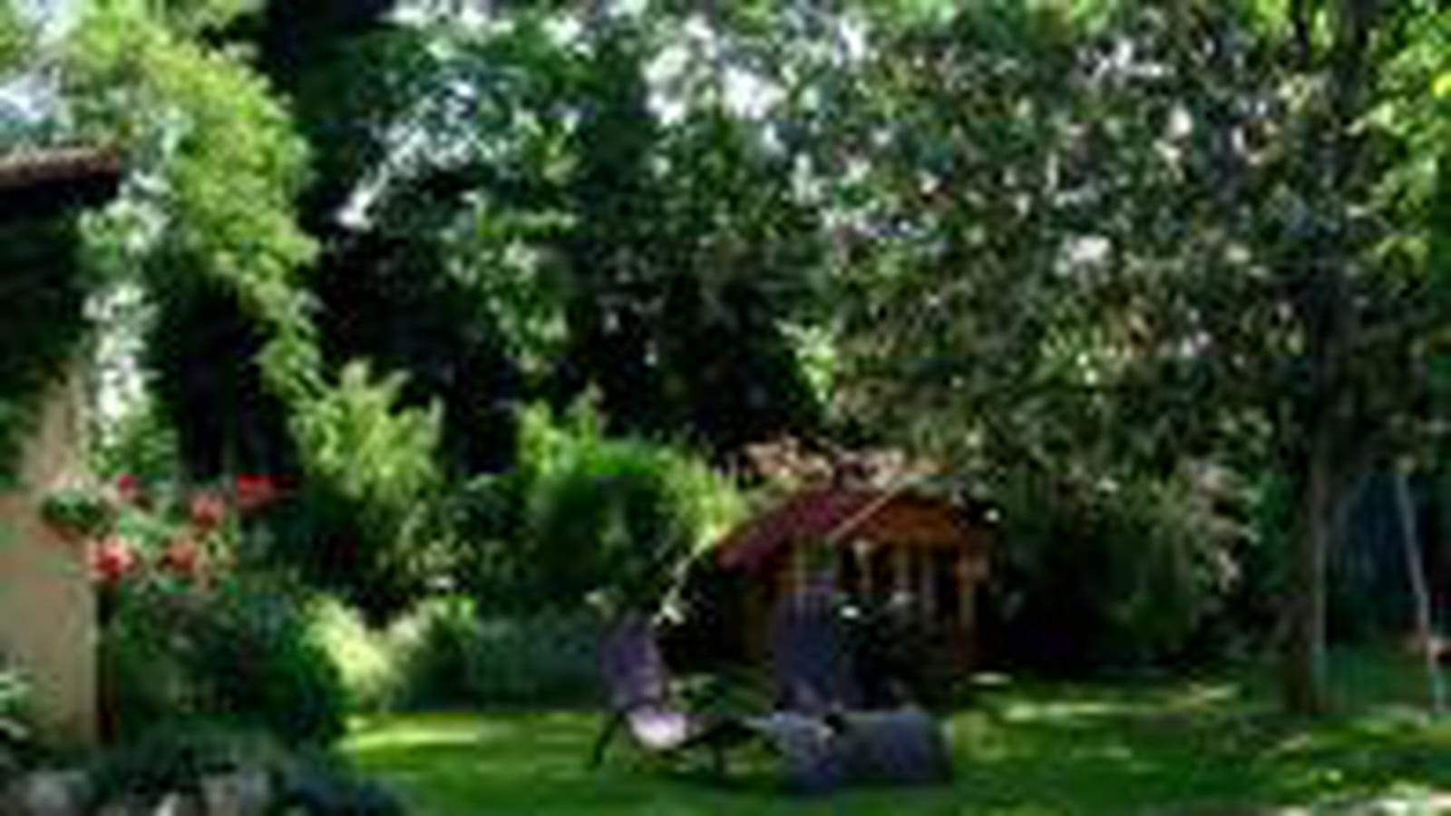 Le jardin de Dominique