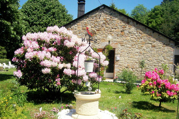 Un puits au milieu du jardin